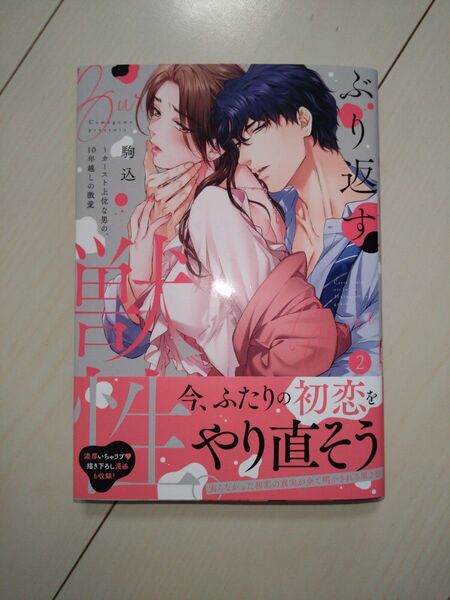 新刊 「ぶり返す獣性。 カースト上位な男の、10年越しの激愛 2 」