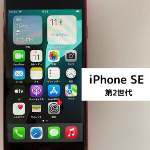 iPhone SE 第2世代 64GB SIMフリー