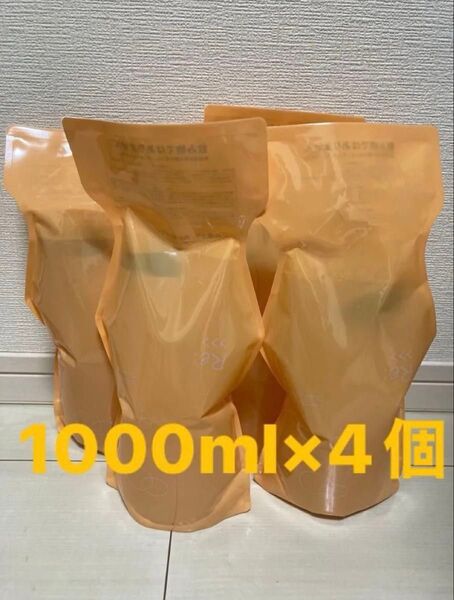 アジュバン Re: エミサリーシャンプー 1000ml ×4個 詰替エコパック 大容量 サロン専売品 お買い得