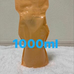 アジュバン Re: エミサリーシャンプー 1000ml 詰替エコパック 大容量 サロン専売品 お買い得