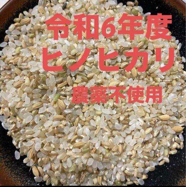 令和6年度 新米 ヒノヒカリ 農薬不使用 くず米 5kg