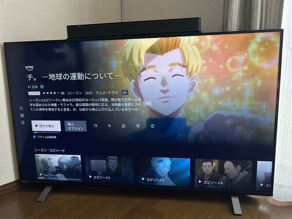 東芝 REGZA レグザ 4K 55インチ