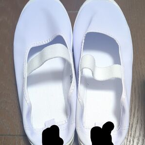 最終値下げ 上履き スクールシューズ JK シューズ うわばき 女子高 25cm