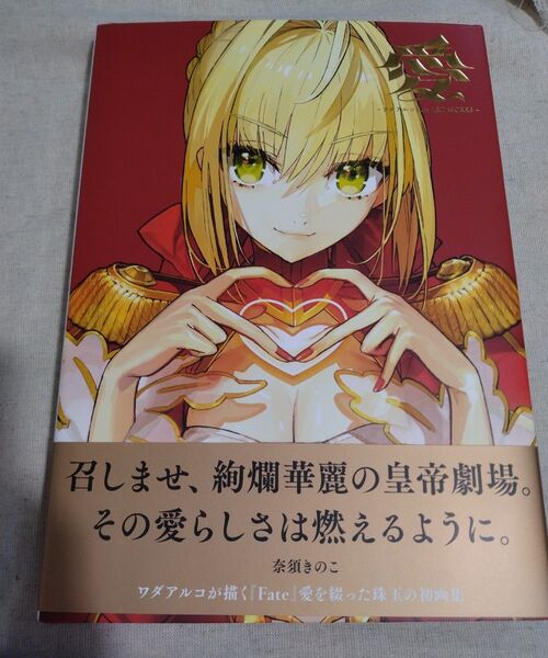 愛 ワダアルコ fate art works 画集 初版 帯あり イラスト集