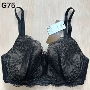 ワコール レシアージュ G75 下着