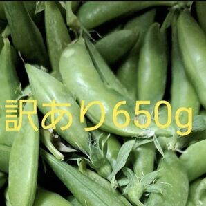スナップえんどう★訳あり★茨城県産
