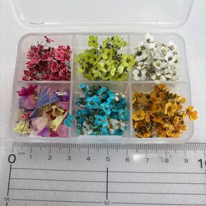 ドライフラワー 花材 詰め合わせ 484 アリッサム