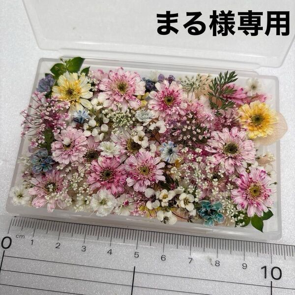 ドライフラワー 花材 詰め合わせ 469 マトリカリア