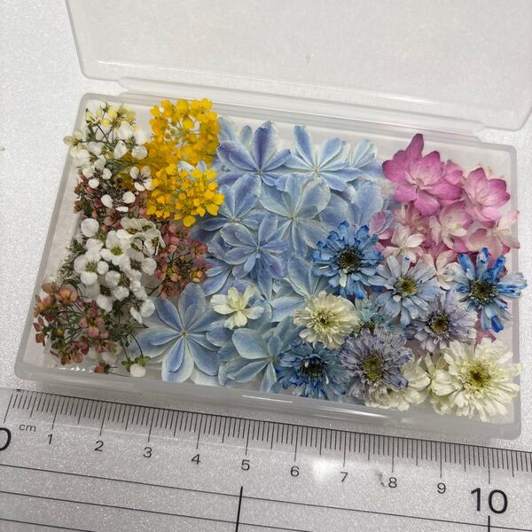 ドライフラワー 花材 詰め合わせ 497