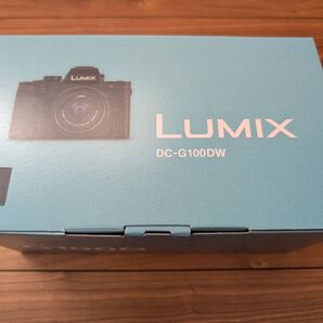 LUMIX ダブルズームレンズキット DC-G100DW (DC-G100DW-K)