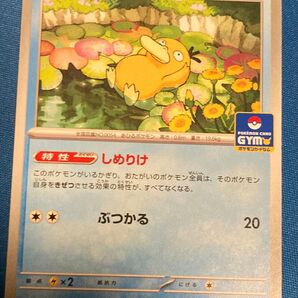 コダック プロモ