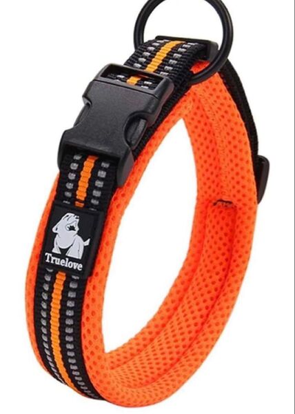 cocomall 犬首輪 犬の首輪 ペット用品 ナイロン製 (S, オレンジ)