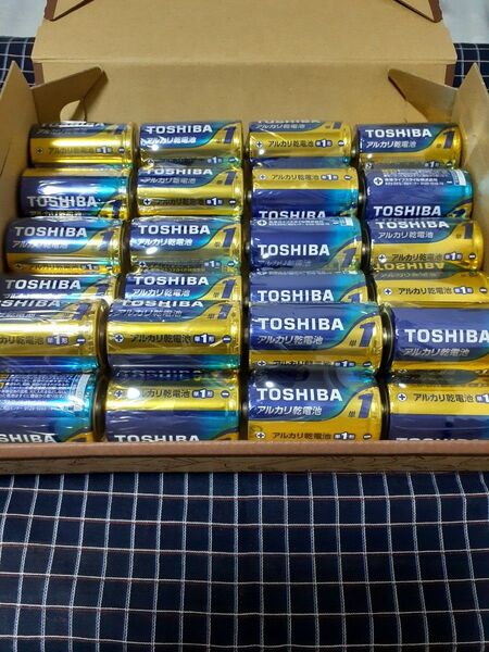 東芝 TOSHIBA 単一 単1 単1電池 アルカリ乾電池 2個パック×12 計24本