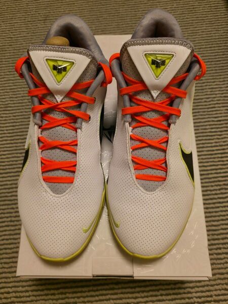 NIKE LEBRON22 EP 27.5cm レブロン22