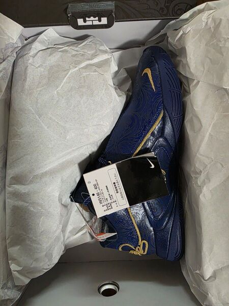 NIKE LEBRON XXII NRG EP 26.5cm レブロン22