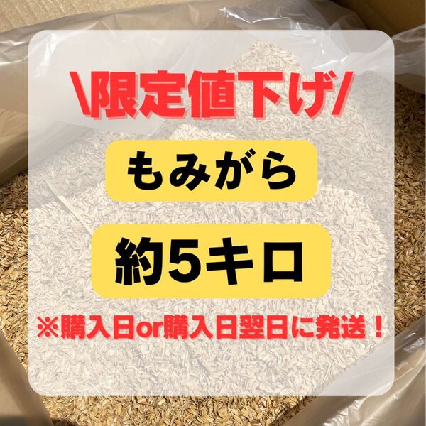 【限定値下げ!】もみ殻(米)約5キロ 購入日or購入日翌日に発送!