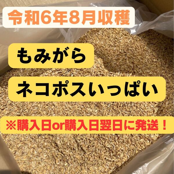 もみ殻(米)ネコポスいっぱい 購入日or購入日翌日に発送!