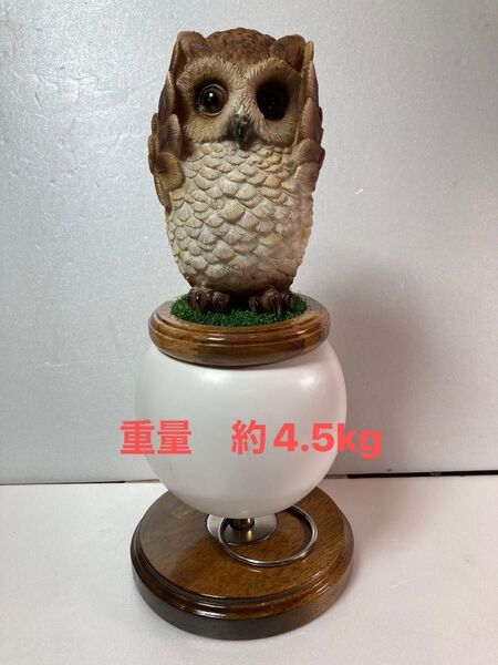 極 中型猛禽パーチC ファルコンブロック
