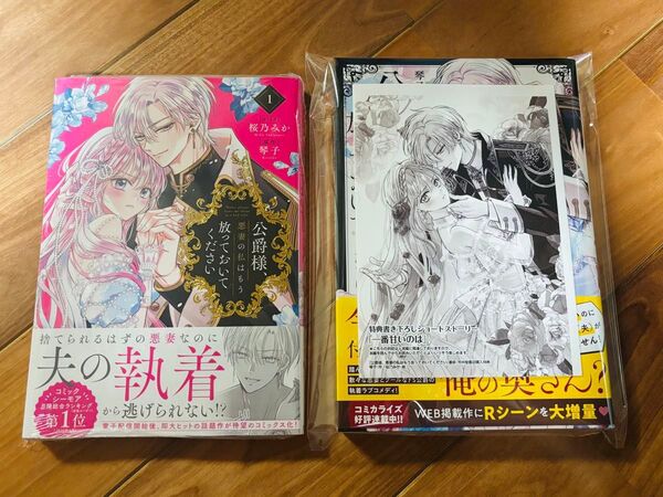 SS付 公爵様、悪妻の私はもう放っておいてください 琴子 書泉 小説 漫画
