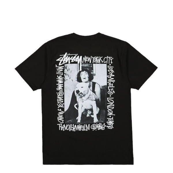 STUSSY(ステューシー)カットソー 半袖 STUSSY HOW WERE LIVIN PIGMENT DYED TEE