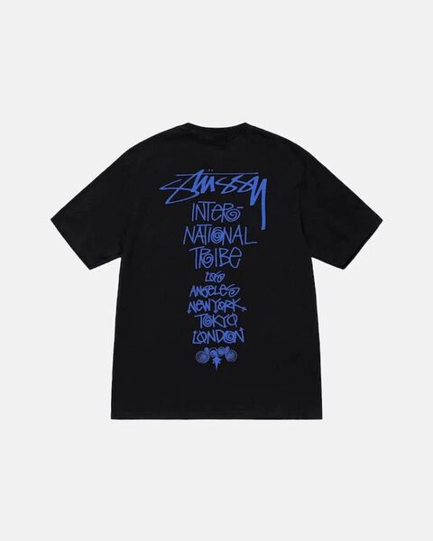 STUSSY(ステューシー) カットソー 半袖 STUSSY メンズ STUSSY TRIBE STACK TEE - Tシャツ