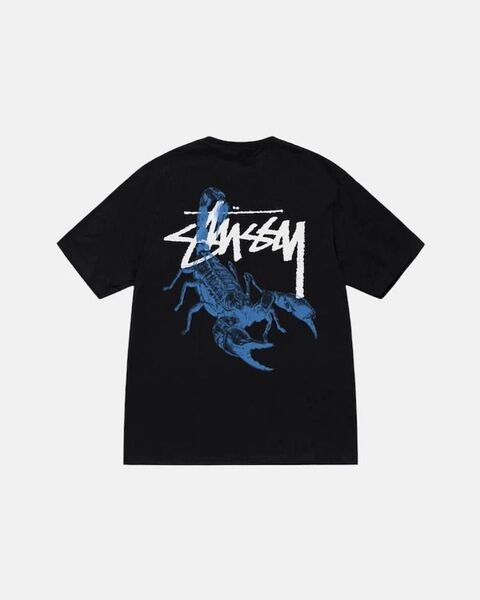 STUSSY(ステューシー) カットソー 半袖 STUSSYSCORPION TEE