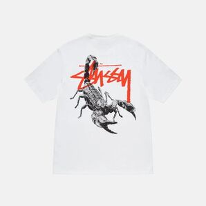 STUSSY(ステューシー) カットソー 半袖 STUSSYSCORPION TEE