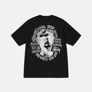 ステューシー SS24 STUSSY CAMELOT PIGMENT DYED T-SHIRT 半袖