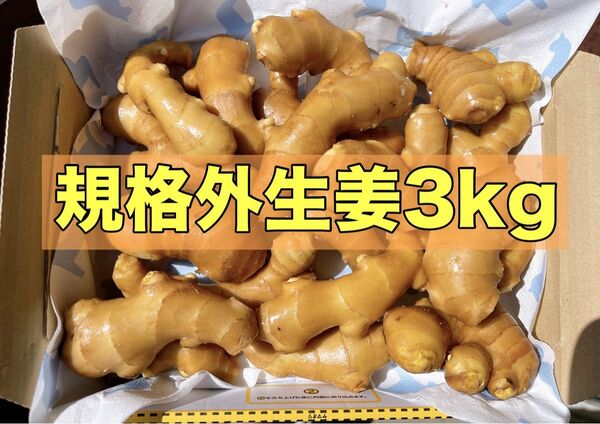 生姜3kg