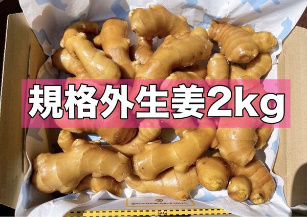 生姜2kg