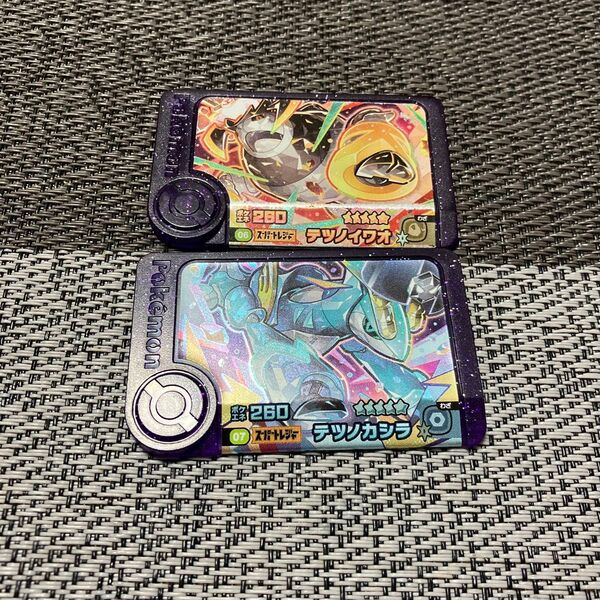 ポケモンフレンダ スーパートレジャー テツノカシラ テツノイワオ