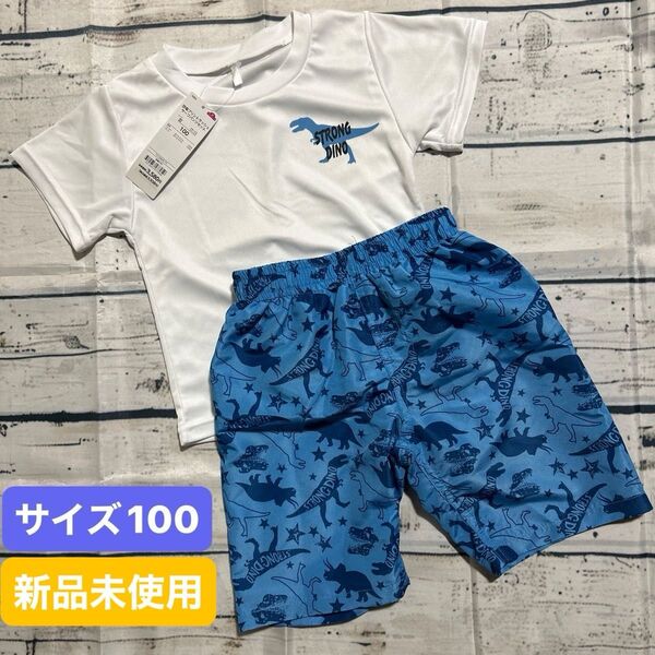 恐竜柄!サーフパンツセット サイズ100cm 水着 上下セット 男の子 キッズ 水着 シャツ サーフパンツ 海パン
