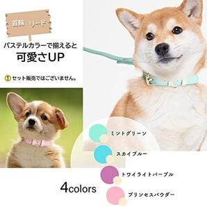 首輪 犬 ペット スカイブルー M 中型犬 軽量 パステルカラー お手入れ簡単