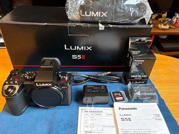 LUMIX S5II DC-S5M2 ボディ 美品 付属完備 ショット数少 未使用予備バッテリー&SDカード128GB付