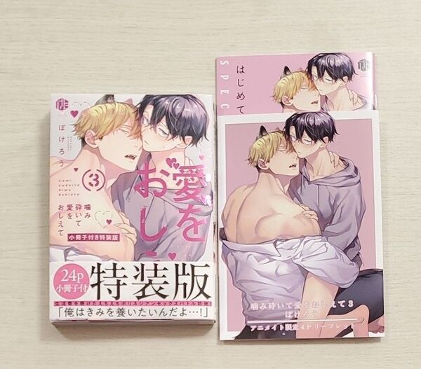噛み砕いて愛をおしえて 3 小冊子付き特装版 ぽけろう