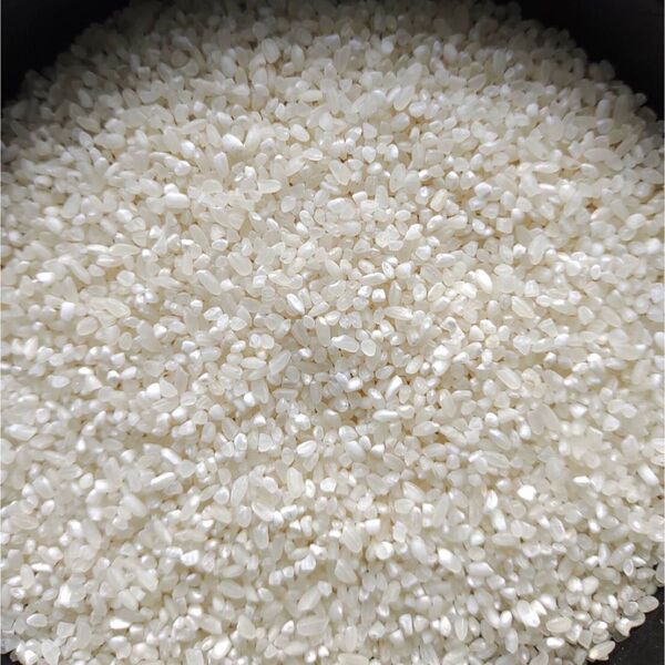 ◎砕米◎10kg◎令和6年産 国産うるち米の砕け米です◎全国送料無料 米粉に 砕け米 国産米 日本米 くだけ米