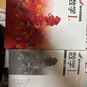 新中学問題集 数学1年