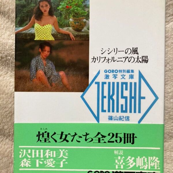 篠山紀信 激写文庫 シシリーの風 カリフォルニアの太陽