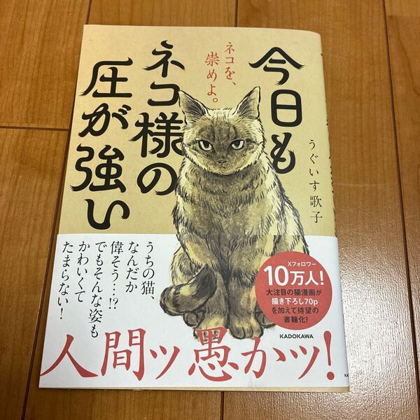 今日もネコ様の圧が強い うぐいす歌子/著