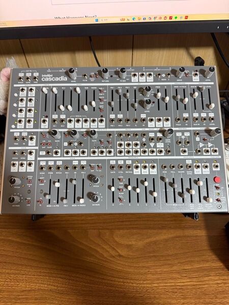 intellijel cascadia & デッキセイバー & ギグバッグ