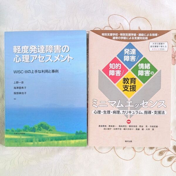 特別支援学校 特別支援学級 知的障害/発達障害/情緒障害の教育支援ミニマムエッセンス 軽度発達障害の心理アセスメント