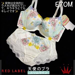 【要事前在庫確認】E70M レッドレーベル バイ トリンプ 天使のブラ スリムライン 0102 WH