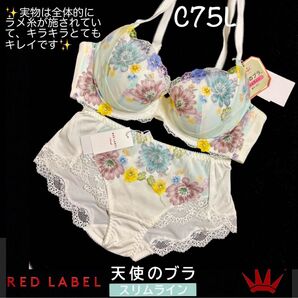 【要事前在庫確認】C75L レッドレーベル バイ トリンプ 天使のブラ スリムライン 0102 WH