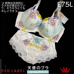 【要事前在庫確認】E75L レッドレーベル バイ トリンプ 天使のブラ スリムライン WH