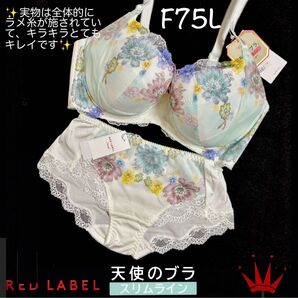 【要事前在庫確認】F75L レッドレーベル バイ トリンプ 天使のブラ スリムライン WH