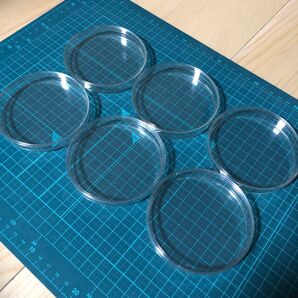 プラスチックシャーレ 6枚