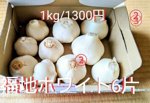ニンニク 福地ホワイト6片 1kg/1300円