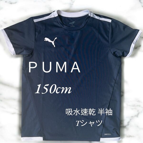 PUMA プーマ Tシャツ DRYCELL 吸汗速乾 スポーツ 150cm キッズ 子供