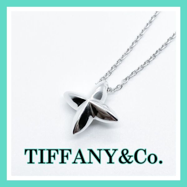 TIFFANY&Co. ティファニー シリウススター ネックレス シルバー 925 A441