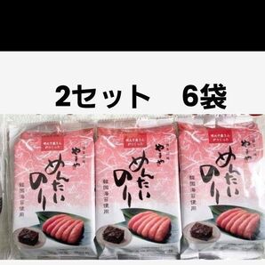 福岡 やまや めんたいのり8切8枚×6袋 ピリ辛明太子風味 韓国のり 博多